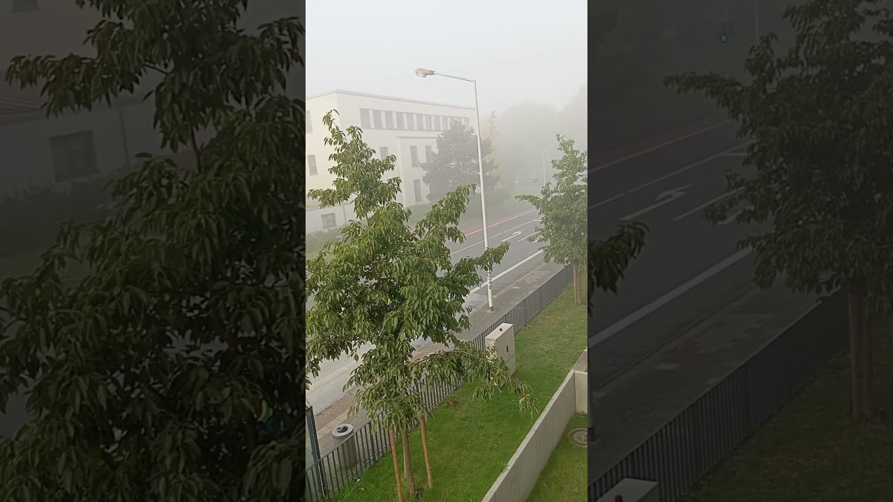 Утренний туман в Дармштадте. Германия. 