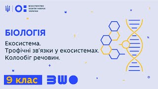 9 клас. Біологія. Екосистема. Трофічні зв’язки у екосистемах. Колообіг речовин.