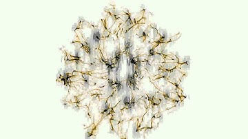 Homeomorphic - Complex Dimension