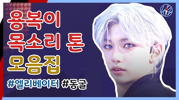 용복이와 동굴행 엘리베이터.zip