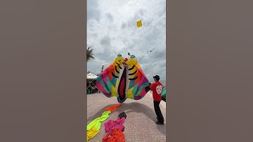 Thả diều nghệ nhân ra dây lên diều cá đuối rất đẹp #kite #layangan #patang #kiteflying #short