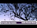 Un Pueblo Que Camina - Emilio Vicente Mateu
