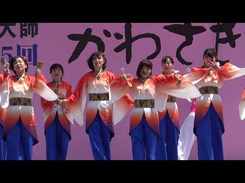 踊りゃん祭＠2019　かわさき楽大師厄除よさこい