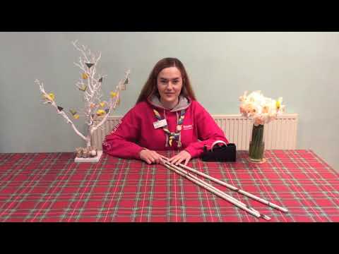 Spring Thing STEM Pioneering