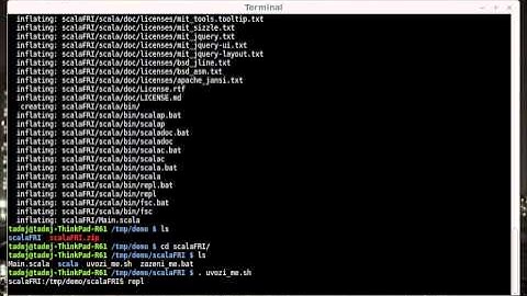 Using portable scala package (Linux)