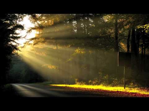 Daniel Avery - Flashlights