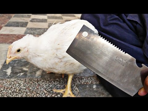 वीडियो: मुर्गे को कैसे तोड़ें