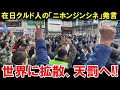 【海外の反応】クルド人の「ニホンジンシネ」発言を世界中のインフルエンサーが拡散→とんでもない天罰が下り強制帰国へ!【世界のJAPAN】