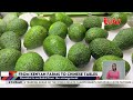 Kenya's Avocado exports to China at an all time high