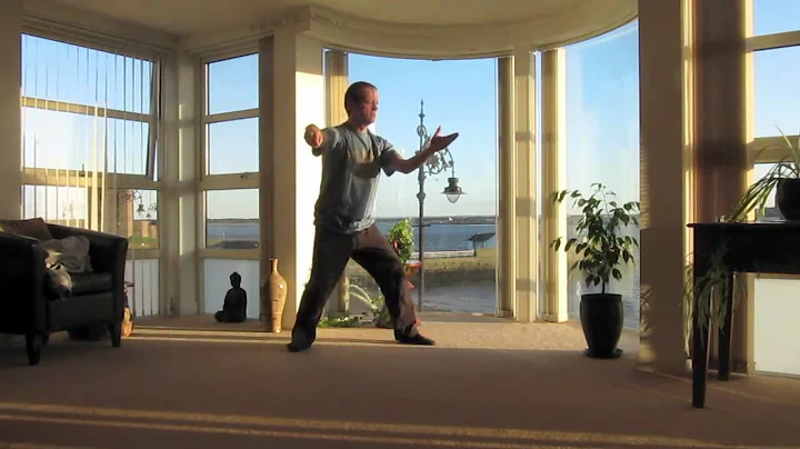 Tai Chi Hand Form - Ronnie Robinson