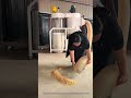 Real scene of mobile industrial vacuum cleaner cleaning