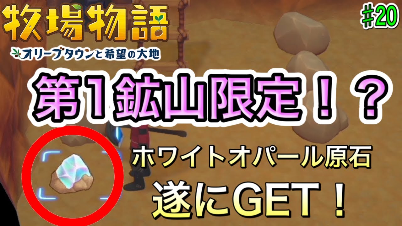 ホワイトオパールかもしれない謎の原石 牧場物語】ジュエリーメーカーに使うホワイトオパール原石はどこですか