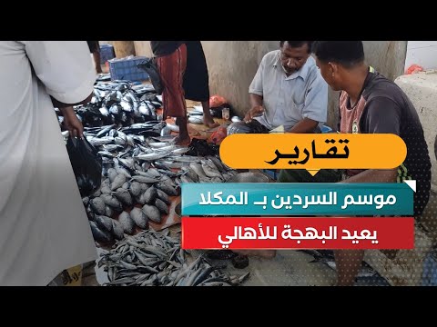 عودة الساردين إلى المكلا: بهجة موسم العيد على الموائد اليمنية