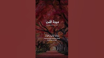 ما تيسر من سورة الفجر للقارئ الشيخ عبد الباسط عبد الصمد