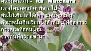 Video thumbnail of "ต้นรักต้นนั้น - Ra Watchara (Official Audio)"