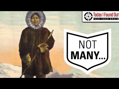 Video: Berapa Banyak Kata-kata untuk Snow Eskimos Really Have?