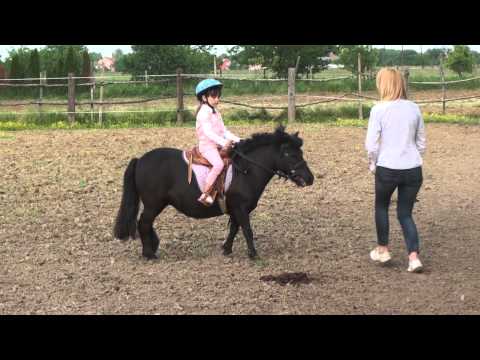 Video: Kada Konji Postanu Kompulzivni - Jahanje Konja