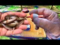 Slip corkin for monster crappie how to rig a slip bobber  minnow