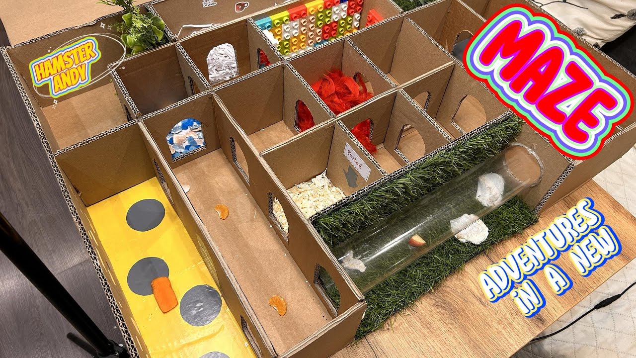 The hamster is still looking for a way out..... 