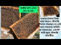 মৌমাছি মৌমাছি।মৌমাছি সংরক্ষণে হিমশিম খাচ্ছে খামারি।বিস্তারিত জানলে অবাক হবেন।