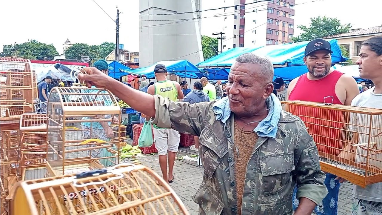 [ A PARTE 2 ] FEIRA DO CORDEIRO DE CARNAVAL, COM ÓTIMAS PROMOÇÕES!!