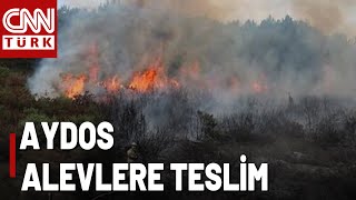 İstanbul Aydosta Büyük Yangın Alevler Hızla Yerleşim Yerlerine İlerliyor