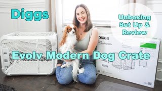 *NEW* Diggs EVOLV Modern Dog Crate in ASH | Unboxing • Set Up • Review!