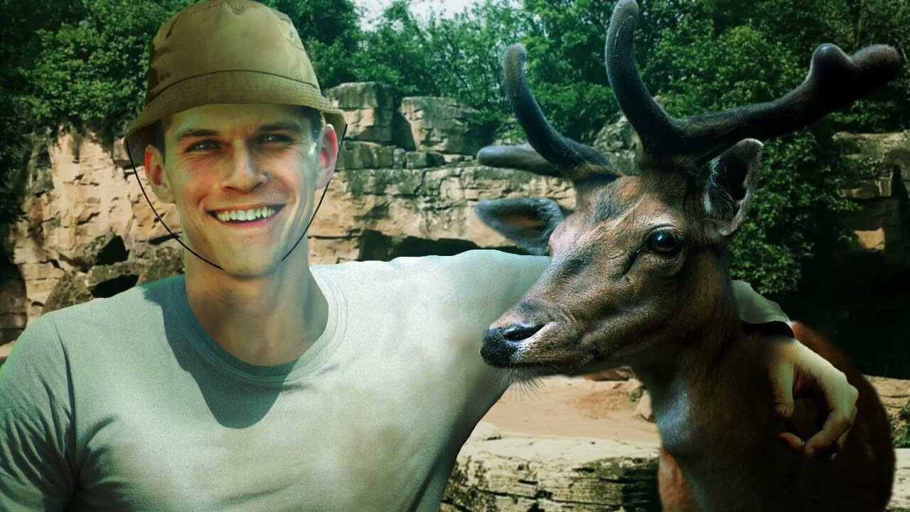 Trip to the Zoo