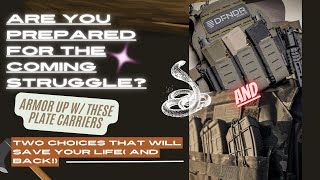 SHTF Plate Carrier! (DFNDR QRC - $350 and TACTICON BATTLEVEST ELITE - $150)