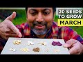 20 seeds you must grow in march