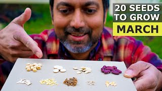 20 Seeds You MUST Grow in March