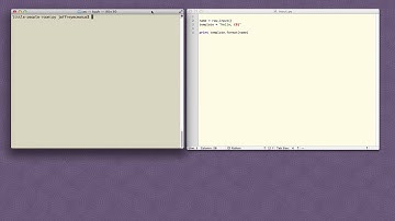 CodeLesson Handling User Input in Python