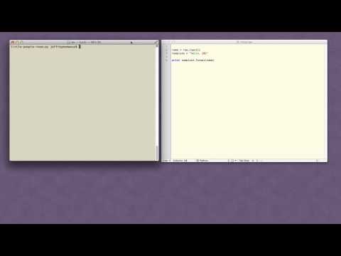 CodeLesson Handling User Input in Python