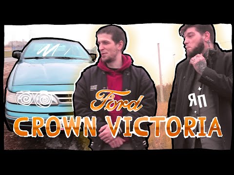 Video: Crow Victoria. Mote trender 2016