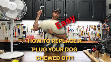 Part 1 - So Your Dog Chewed The Plug Off Your Cord… I Got Ya! Easy Plug Replacement