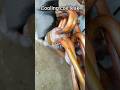 cooling coil leak how to find leakage cooling coil #airconditioner #shorts #work #reels #repair