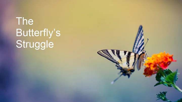 The Butterfly's Struggle | Motivational videos | Unlock your potential