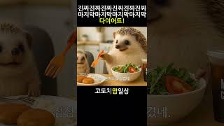 진짜진짜 마지막 다이어트 🦔도치#도치맘 #고슴도치 #마지막 #아기밥 #진짜 #먹방 #도치맘 #아기고슴도치 #shorts