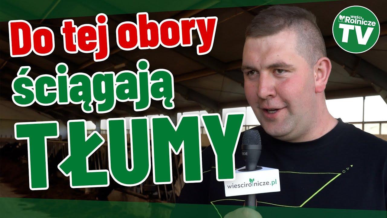 Rolnicy z Kaszub mają 100 hektarów, 100 krów i roboty w oborze. Do ich gospodarstwa ściągają tłumy