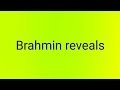 Brahmin limelight Duxbury reveal