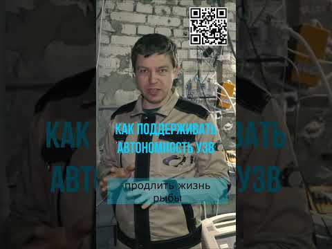 Как поддерживать автономность УЗВ и сохранить жизнь рыбы  #акварост #рыба #узв #бизнесвдеревне