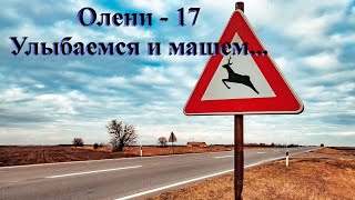 Олени-17 - Улыбаемся и машем...
