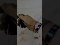 Employees get quite a shock!