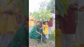 Sawan Ka Mahina Pawan Kare Shor sawan song green shorts