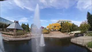 RC Flying, Swimming, & Diving on the Mako - Fall in Colorado