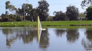 Wing sail model catamaran
