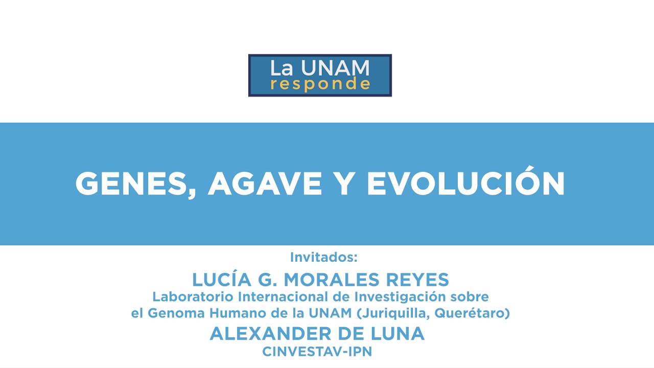 Genes, agaves y evolución. La UNAM responde 1297