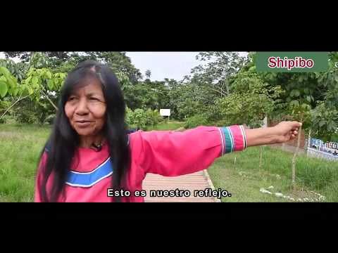 Video Institucional UNIA 2019