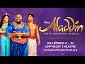 Disney's Aladdin – Hennepin Theatre Trust