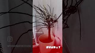 Dead branches into lively and pretty home decor